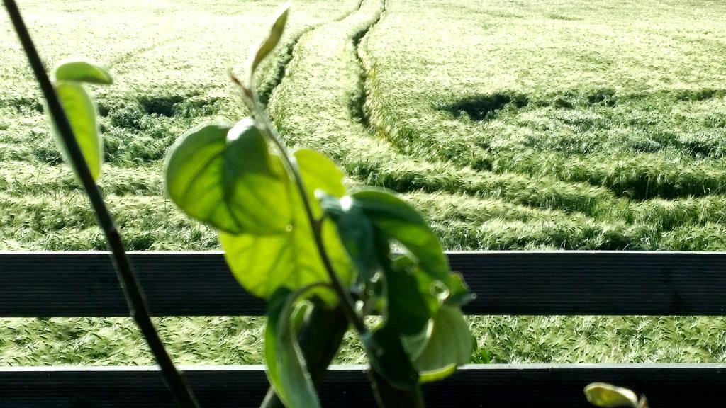 Gite Labradors De Bailly - Giverny Saint-Pierre-la-Garenne المظهر الخارجي الصورة