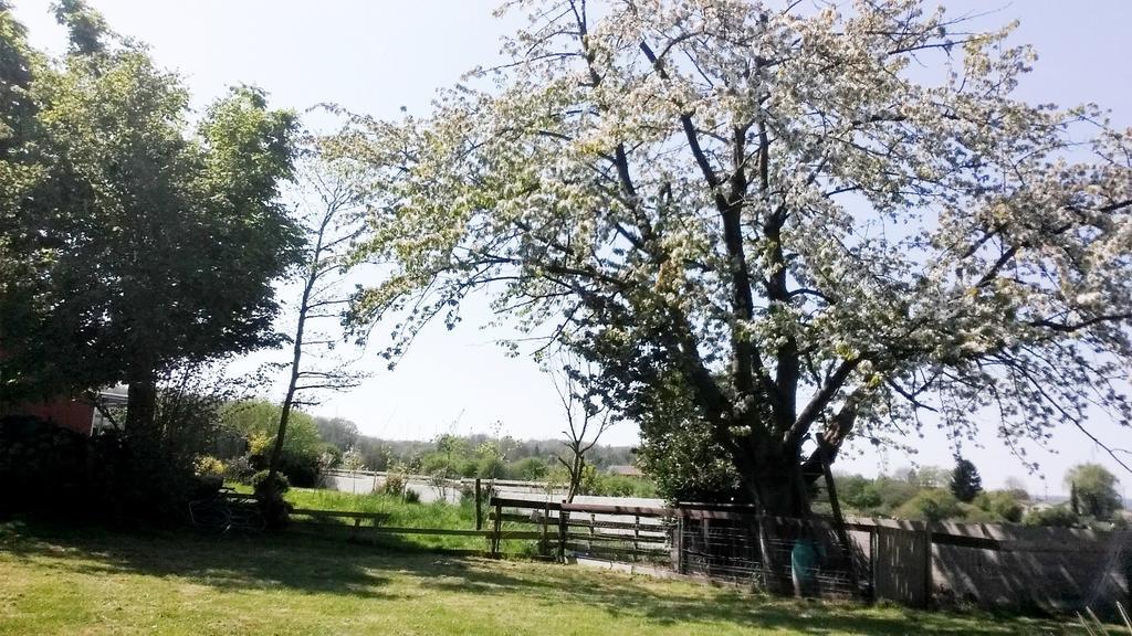 Gite Labradors De Bailly - Giverny Saint-Pierre-la-Garenne المظهر الخارجي الصورة